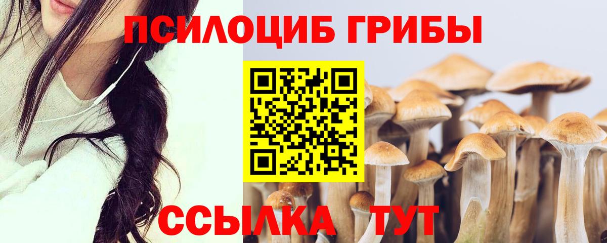 даркнет сайт  Вход с VPN  Вятские Поляны  Галлюциногенные грибы MAGIC MUSHROOMS 