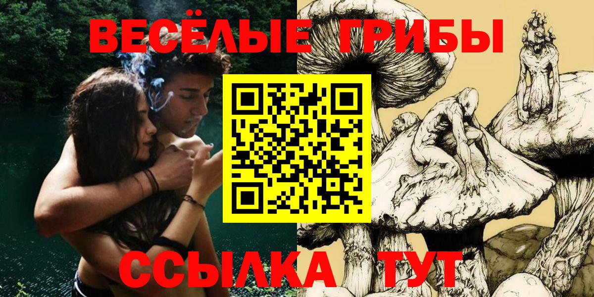 Псилоцибиновые грибы Magic Shrooms Вятские Поляны